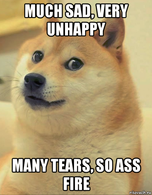 much sad, very unhappy many tears, so ass fire, Мем doge woof