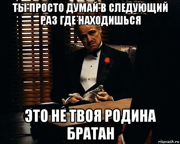 ты просто думай в следующий раз где находишься это не твоя родина братан, Мем Дон Вито Корлеоне