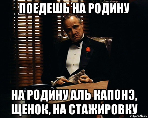 поедешь на родину на родину аль капонэ, щенок, на стажировку, Мем Дон Вито Корлеоне