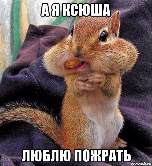 а я ксюша люблю пожрать