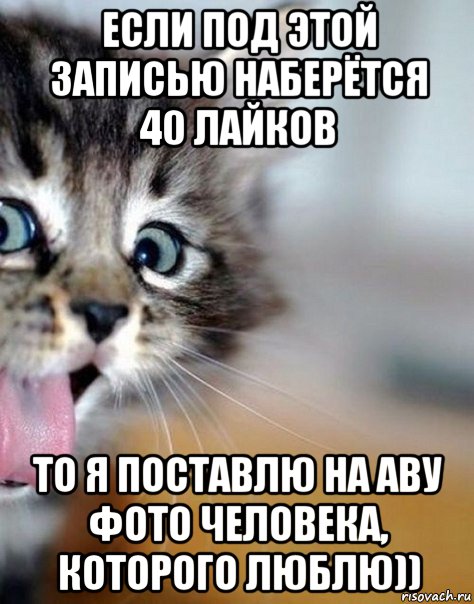 если под этой записью наберётся 40 лайков то я поставлю на аву фото человека, которого люблю))