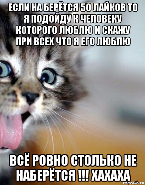 если на берётся 50 лайков то я подойду к человеку которого люблю и скажу при всех что я его люблю всё ровно столько не наберётся !!! хахаха