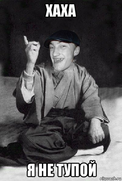 хаха я не тупой