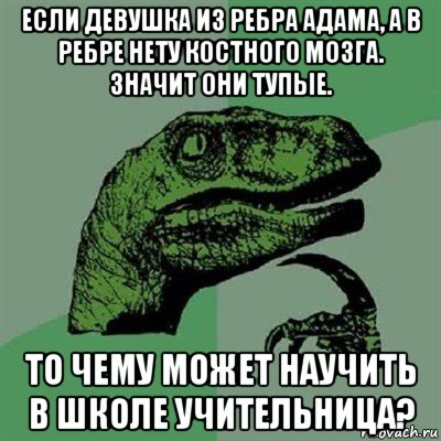 если девушка из ребра адама, а в ребре нету костного мозга. значит они тупые. то чему может научить в школе учительница?, Мем Филосораптор