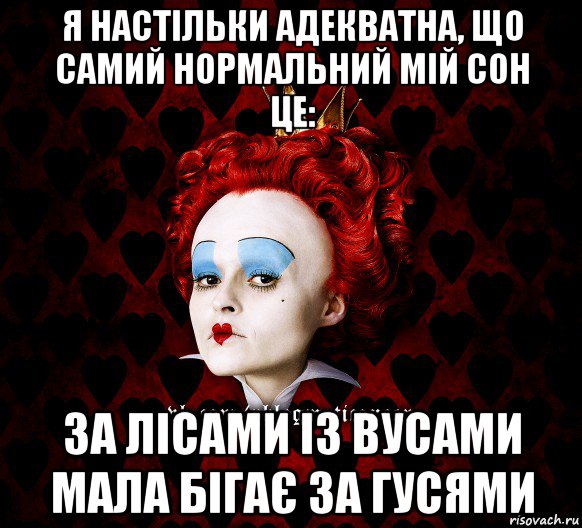 я настільки адекватна, що самий нормальний мій сон це: за лісами із вусами мала бігає за гусями, Мем ФлегматичнА КоролевА ФаК