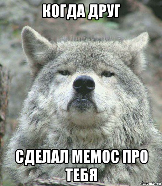 когда друг сделал мемос про тебя, Мем    Гордый волк
