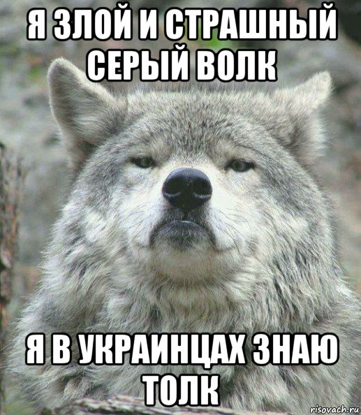 я злой и страшный серый волк я в украинцах знаю толк