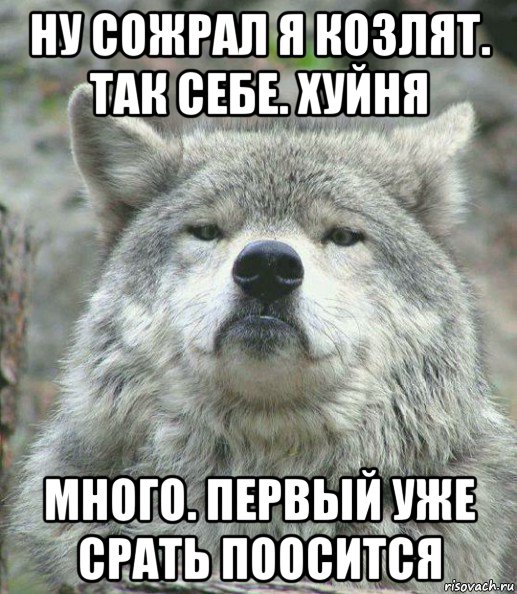 ну сожрал я козлят. так себе. хуйня много. первый уже срать поосится, Мем    Гордый волк