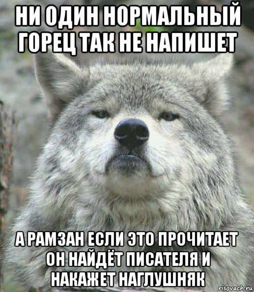 ни один нормальный горец так не напишет а рамзан если это прочитает он найдёт писателя и накажет наглушняк, Мем    Гордый волк