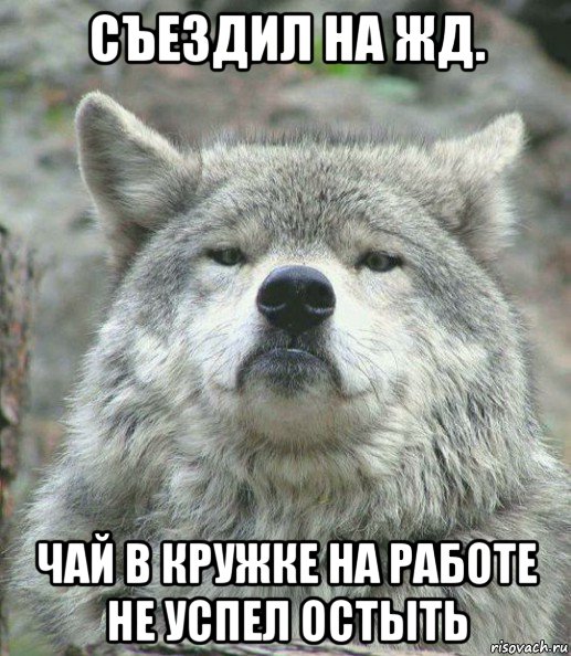 съездил на жд. чай в кружке на работе не успел остыть, Мем    Гордый волк