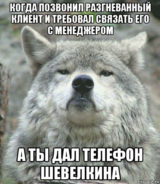 когда позвонил разгневанный клиент и требовал связать его с менеджером а ты дал телефон шевелкина, Мем    Гордый волк