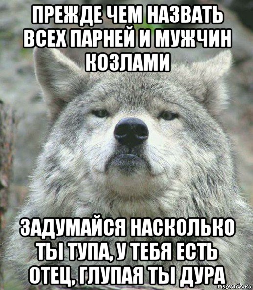 прежде чем назвать всех парней и мужчин козлами задумайся насколько ты тупа, у тебя есть отец, глупая ты дура, Мем    Гордый волк