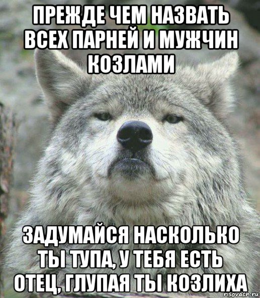 прежде чем назвать всех парней и мужчин козлами задумайся насколько ты тупа, у тебя есть отец, глупая ты козлиха, Мем    Гордый волк