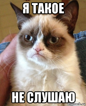 я такое не слушаю, Мем Grumpy Cat small