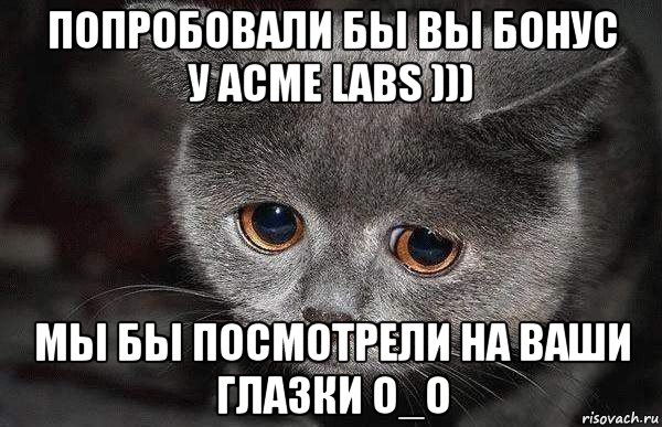 попробовали бы вы бонус у acme labs ))) мы бы посмотрели на ваши глазки o_o, Мем  Грустный кот