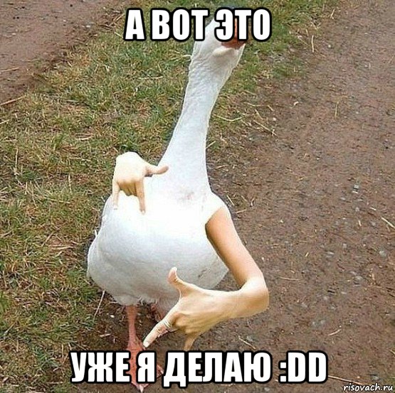 а вот это уже я делаю :dd