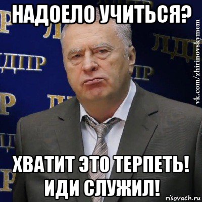 надоело учиться? хватит это терпеть! иди служил!, Мем Хватит это терпеть (Жириновский)