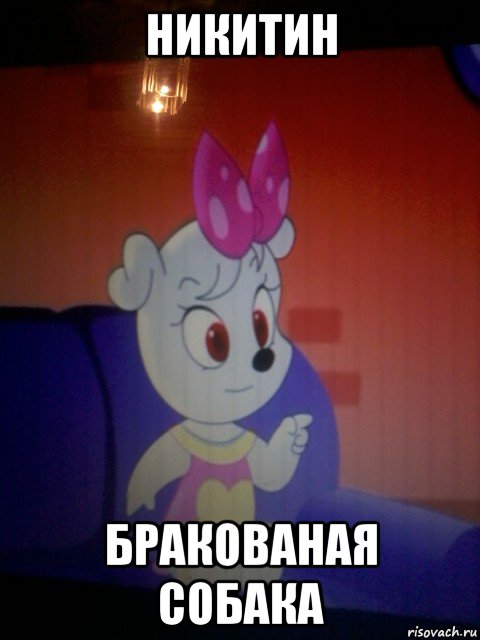 никитин бракованая собака