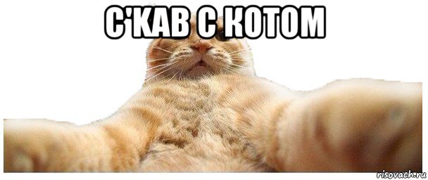 c'kab с котом , Мем   Кэтсвилл