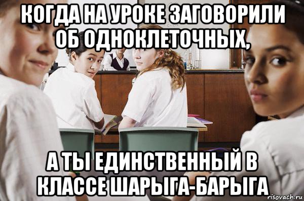 когда на уроке заговорили об одноклеточных, а ты единственный в классе шарыга-барыга, Мем В классе все смотрят на тебя