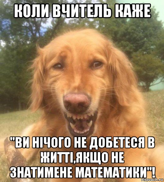 коли вчитель каже "ви нічого не добетеся в житті,якщо не знатимене математики"!, Мем   Когда увидел что соседского кота отнесли в чебуречную