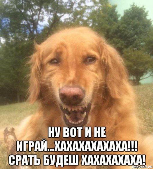  ну вот и не играй...хахахахахаха!!! срать будеш хахахахаха!, Мем   Когда увидел что соседского кота отнесли в чебуречную