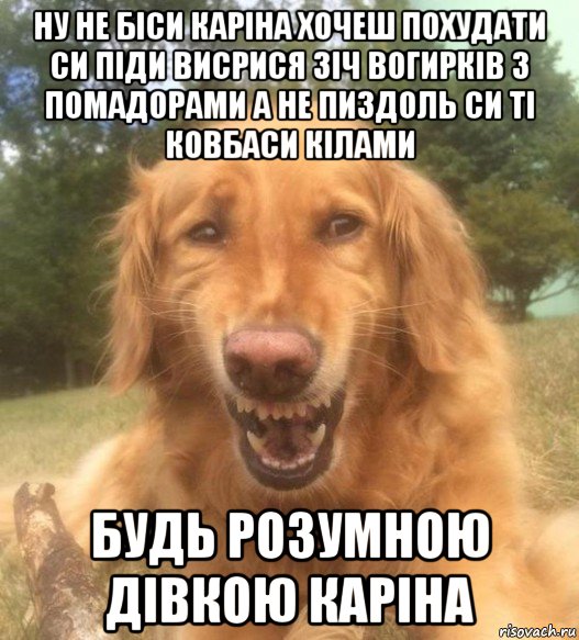 ну не біси каріна хочеш похудати си піди висрися зіч вогирків з помадорами а не пиздоль си ті ковбаси кілами будь розумною дівкою каріна, Мем   Когда увидел что соседского кота отнесли в чебуречную