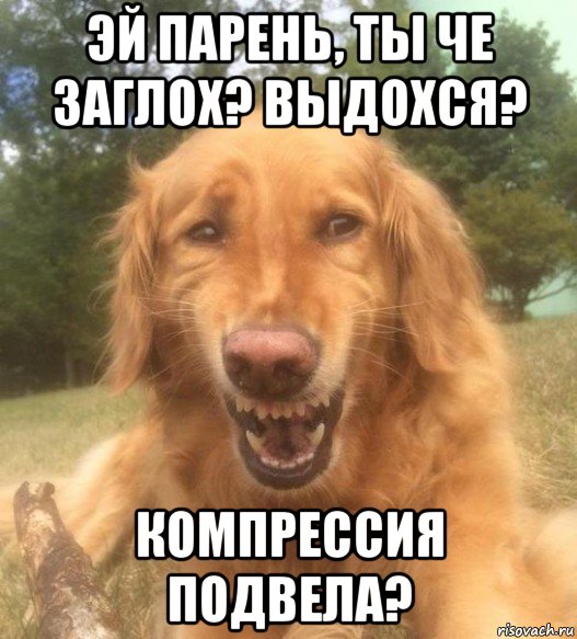 http://risovach.ru/upload/2015/09/mem/kogda-uvidel-chto-sosedskogo-kota-otnesli-v-cheburechnuyu_92771166_orig_.jpg