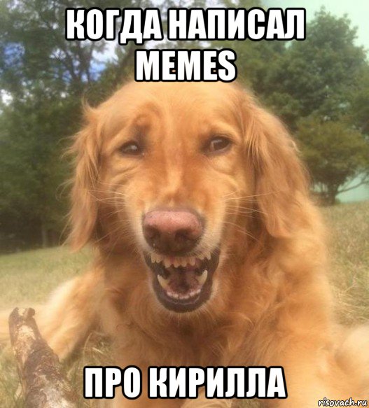 когда написал memes про кирилла, Мем   Когда увидел что соседского кота отнесли в чебуречную