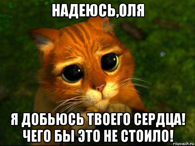 надеюсь,оля я добьюсь твоего сердца! чего бы это не стоило!, Мем кот из шрека