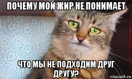 почему мой жир не понимает что мы не подходим друг другу?, Мем  кот печаль