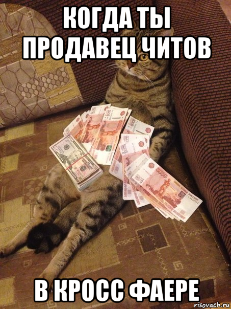 когда ты продавец читов в кросс фаере