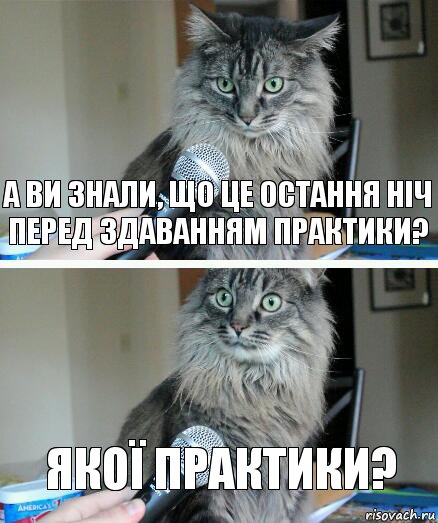 А ви знали, що це остання ніч перед здаванням практики? Якої практики?, Комикс  кот с микрофоном