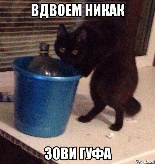 вдвоем никак зови гуфа