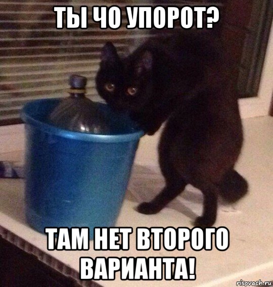 ты чо упорот? там нет второго варианта!