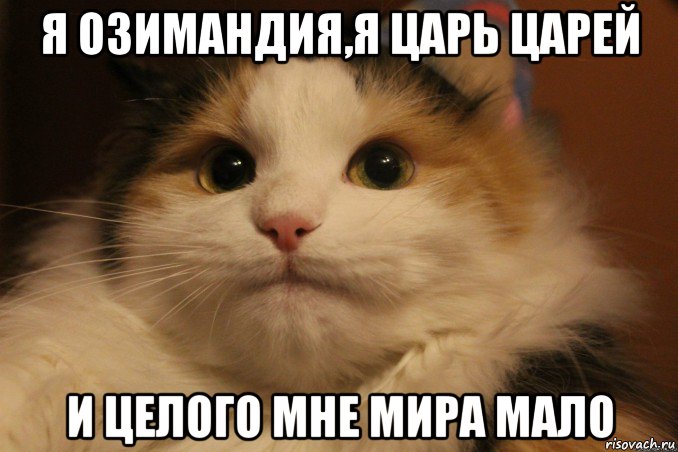 я озимандия,я царь царей и целого мне мира мало