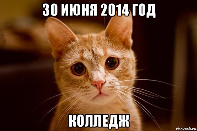 30 июня 2014 год колледж