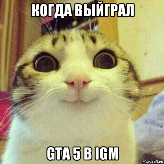 когда выйграл gta 5 в igm, Мем       Котяка-улыбака