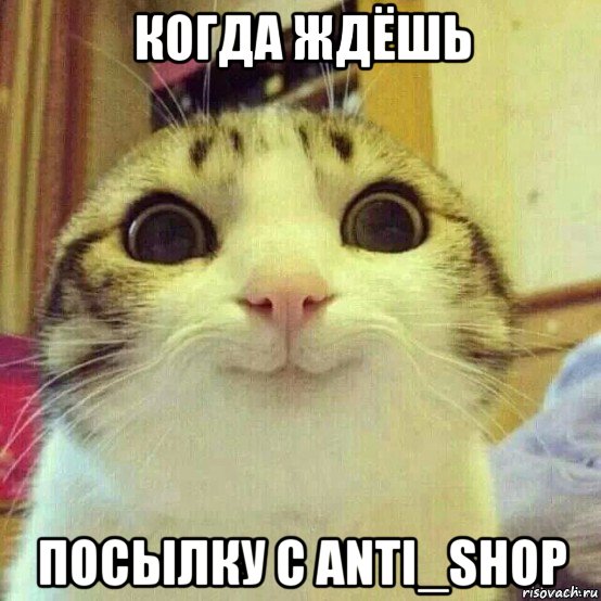 когда ждёшь посылку с anti_shop, Мем       Котяка-улыбака