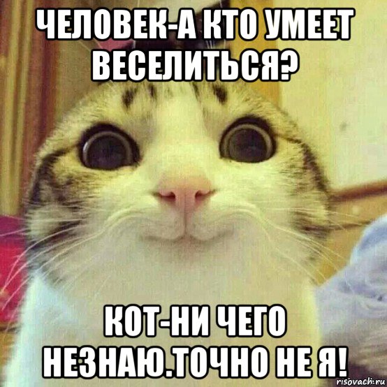 человек-а кто умеет веселиться? кот-ни чего незнаю.точно не я!, Мем       Котяка-улыбака