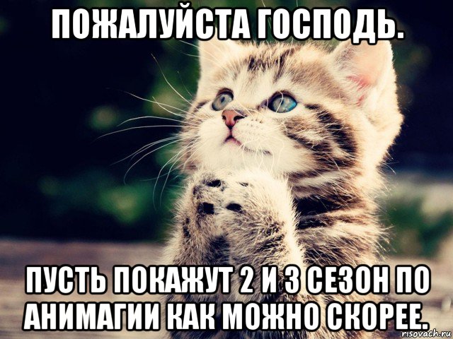 пожалуйста господь. пусть покажут 2 и 3 сезон по анимагии как можно скорее.