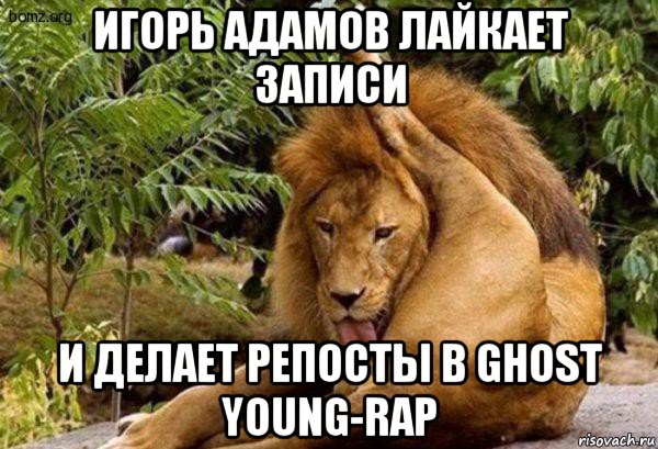 игорь адамов лайкает записи и делает репосты в ghost young-rap, Мем Лев лижет яйца