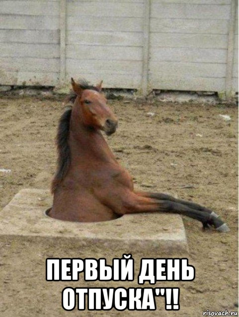  первый день отпуска''!!
