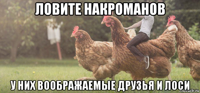 ловите накроманов у них воображаемые друзья и лоси