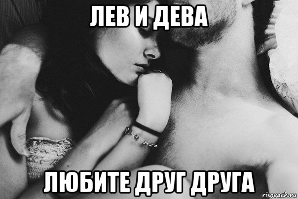 лев и дева любите друг друга, Мем любовь - это 