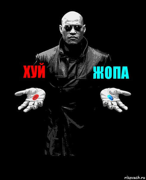 хуй жопа , Комикс Выбор