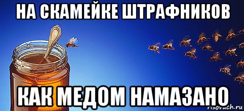 Ну мед ну медятина мем с котом