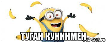  туган кунинмен, Мем миньон