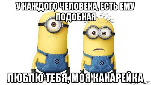 у каждого человека, есть ему подобная люблю тебя, моя канарейка, Мем Миньоны