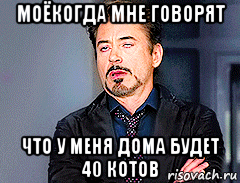моёкогда мне говорят что у меня дома будет 40 котов